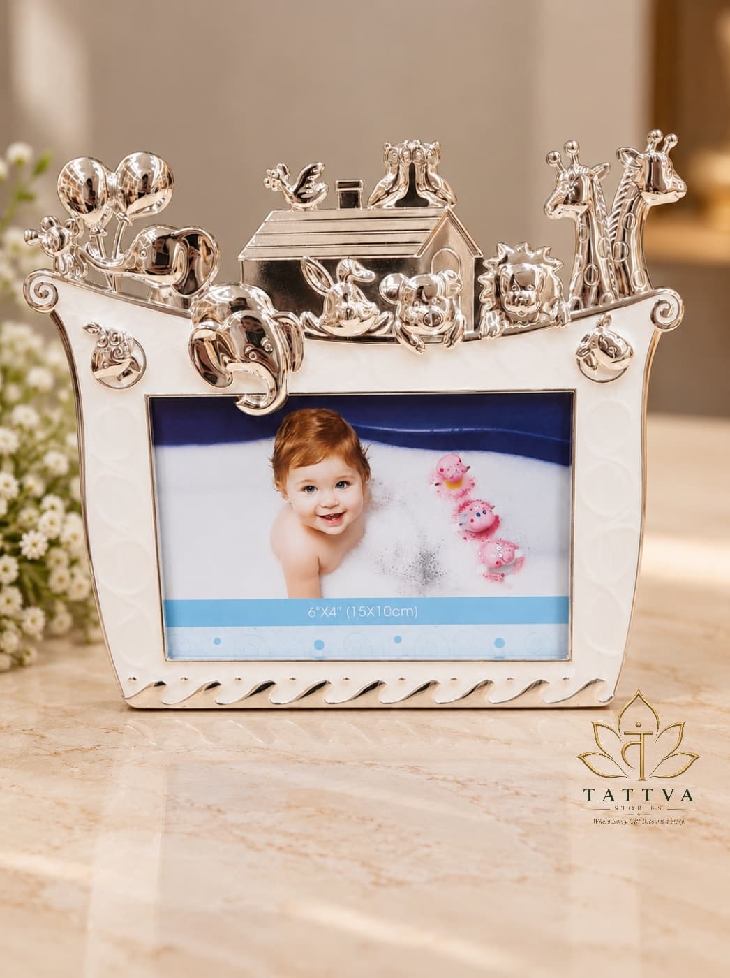 Noah's Ark Frame